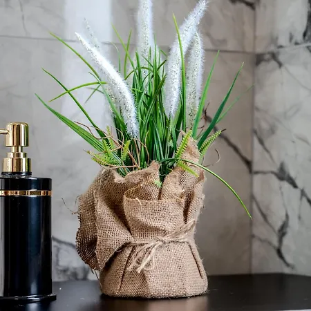 公寓 September15 Suites, Lefkada-nikiana *