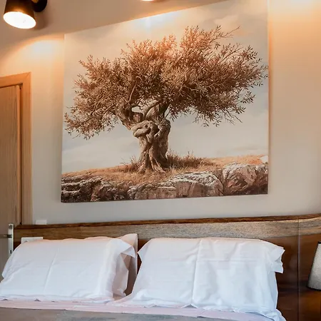 September15 Suites, Lefkada-nikiana 公寓